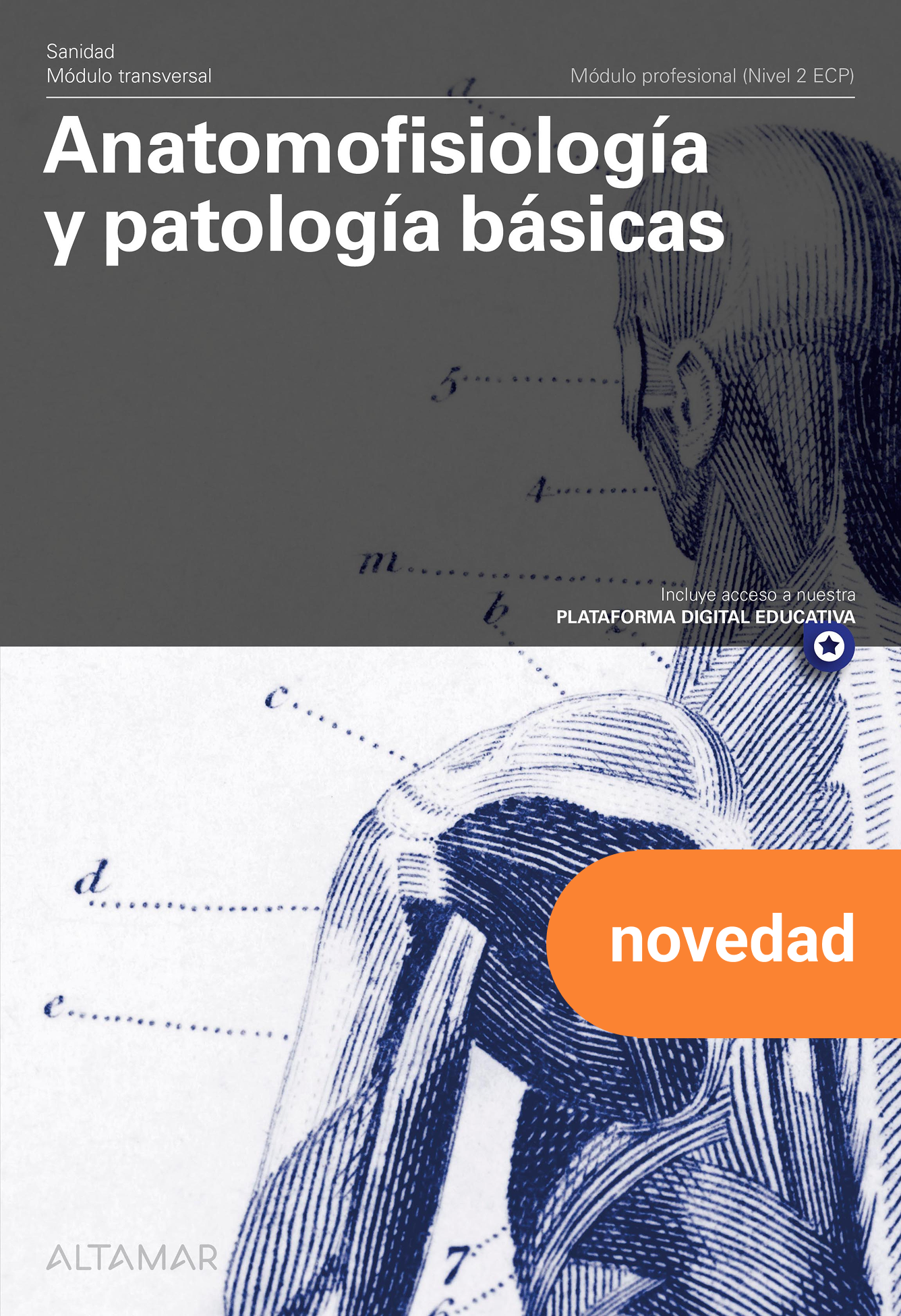 Anatomofisiología y patologías básicas. Nueva edición
